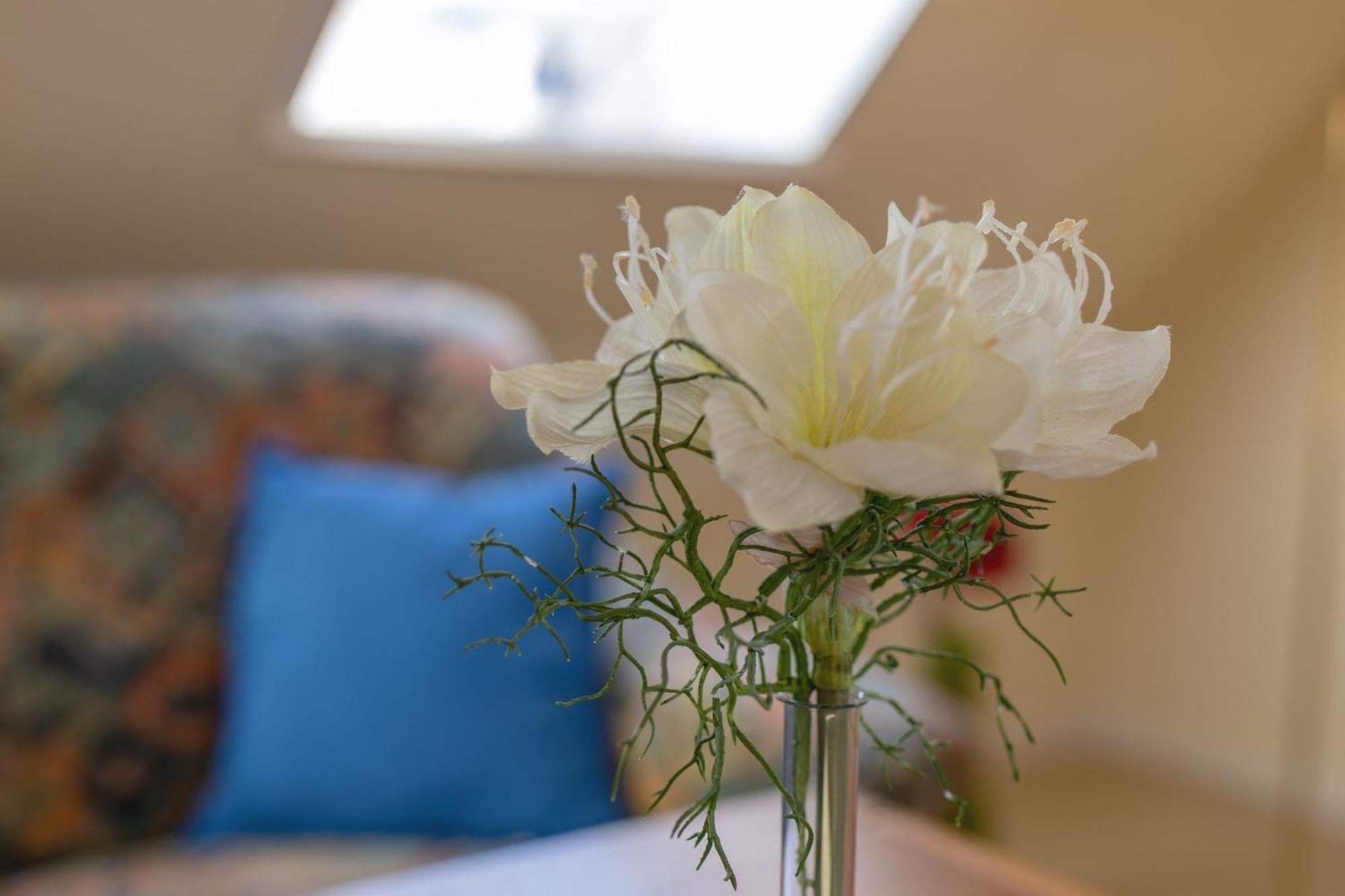 Lindenbuschen 2 Wohnung 7 Kellenhusen Εξωτερικό φωτογραφία